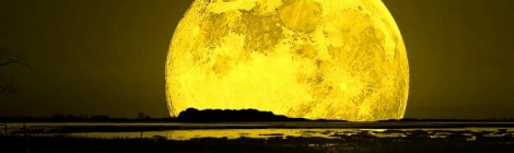 Восход жёлтого полумесяца
